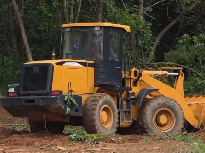 Segundo vereador, secretário de obras garantiu que não pediu para que fossem suprimias árvores durante ação nesta semana