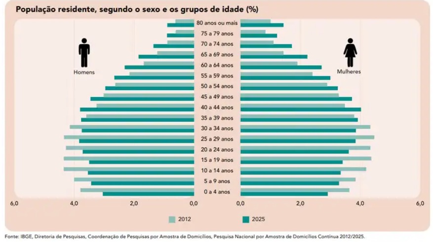 População no Brasil de acordo com o sexo e a faixa etária