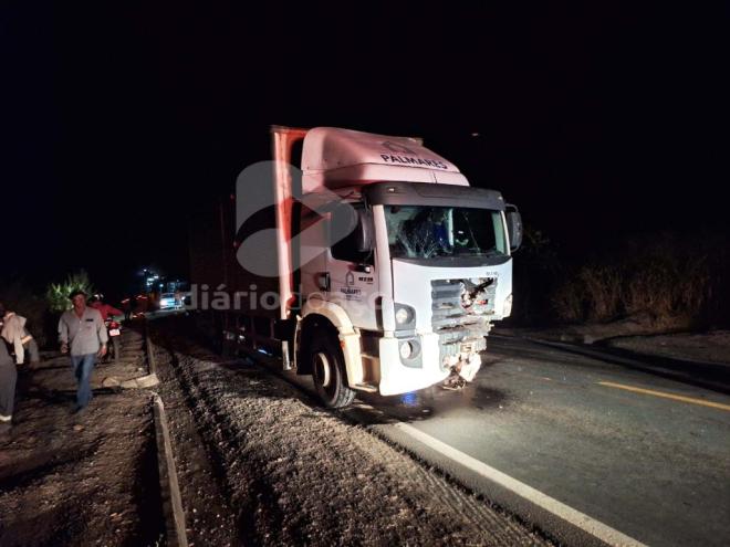 Motorista do caminhão não teve ferimentos 
