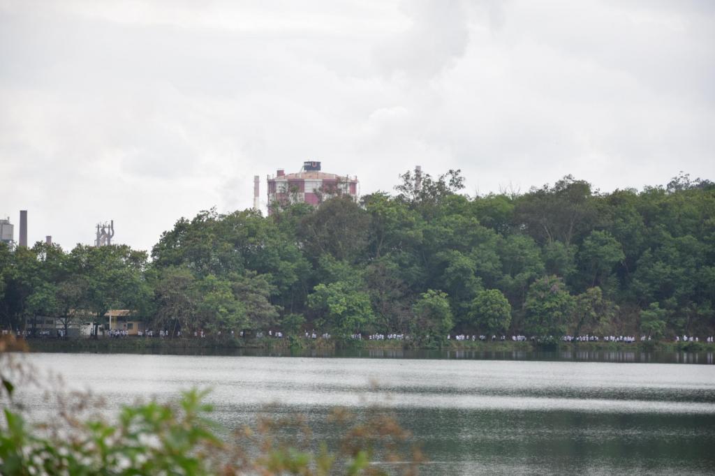 A  Lagoa da Anta fica no interior do parque industrial da Usiminas
