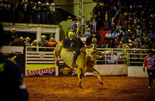 A Festa do Peão de Boiadeiro de Barretos é mundialmente conhecida