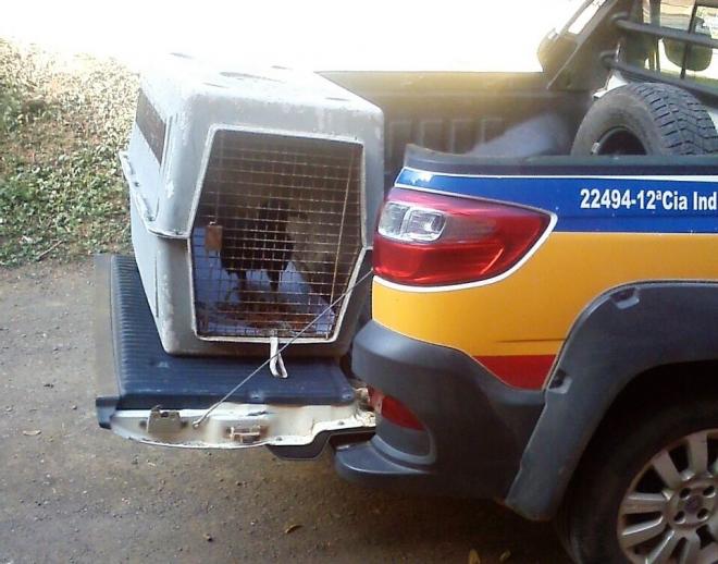 Policiais de Meio Ambiente cumpriram ordem judicial na manhã desta quinta-feira, 28 