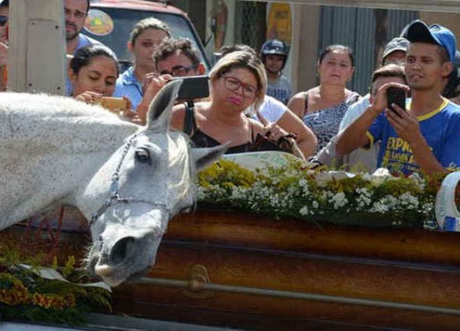  Cavalo acompanha cortejo do seu cavaleiro, amigo inseparável de oito anos, no Rio Grande do Norte 