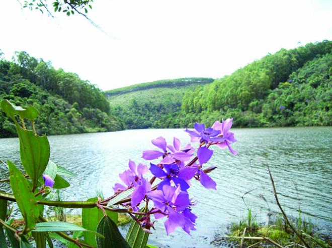 Em forma de beleza, a natureza agradece os cuidados recebidos