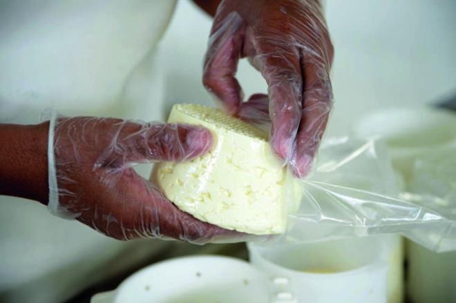Tradição, qualidade, sabor e cultura, marcas do queijo Minas