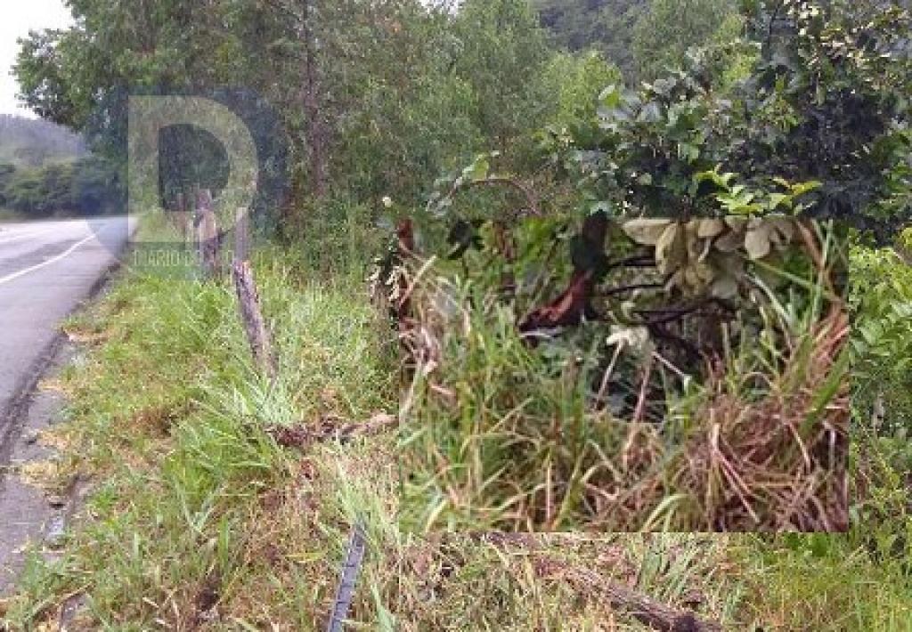 Acidente ocorreu nesse trecho da BR-381 em Antônio Dias