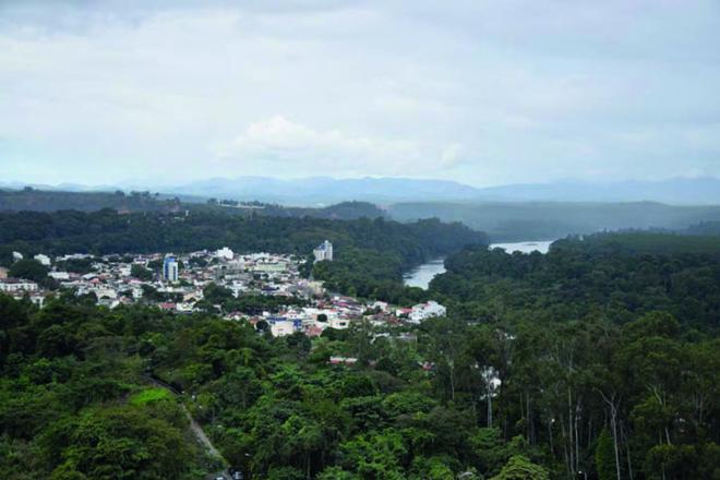 As matas ciliares recebem cuidados especiais em Ipatinga