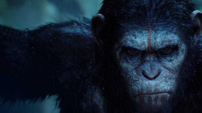 No novo filme, a história não é mais contada pelo ponto de vista humano, mas sim pelo ponto de vista de Caesar, o primeiro macaco a ganhar inteligência