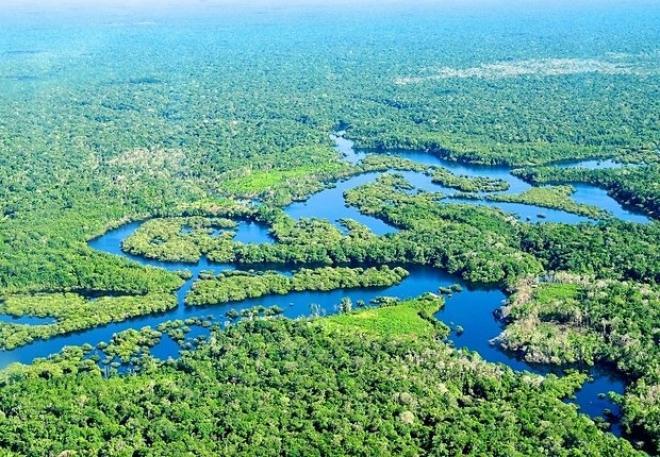 Atualmente, na reserva estão presentes sete unidades de conservação, sendo três de proteção integral (Estação Ecológica do Jari, Parque Nacional Montanhas do Tumucumaque e Reserva Biológica de Maicuru); quatro de uso sustentável (Reserva Extrativista Rio Cajari, Reserva de Desenvolvimento Sustentável do Rio Iratapuru, Floresta Estadual do Amapá e Floresta Estadual do Paru) e duas terras indígenas (Rio Paru dEste e Waiãpi)