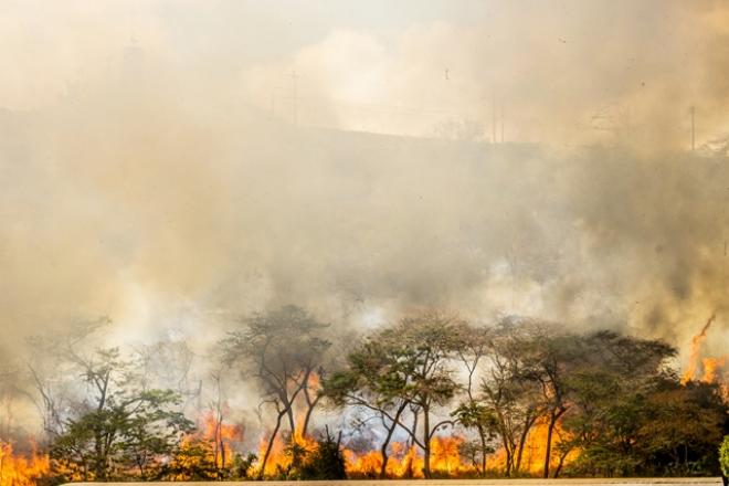 Essa foi a segunda vez, em uma semana, que a vegetação foi queimada neste mesmo local