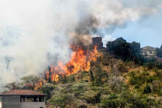 Chamas queimaram o restante da vegetação que sobrou no primeiro incêndio, no Ideal