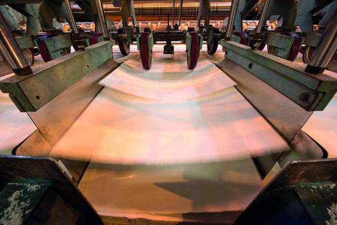 A gestão dos processos confere tradição à marca Cenibra