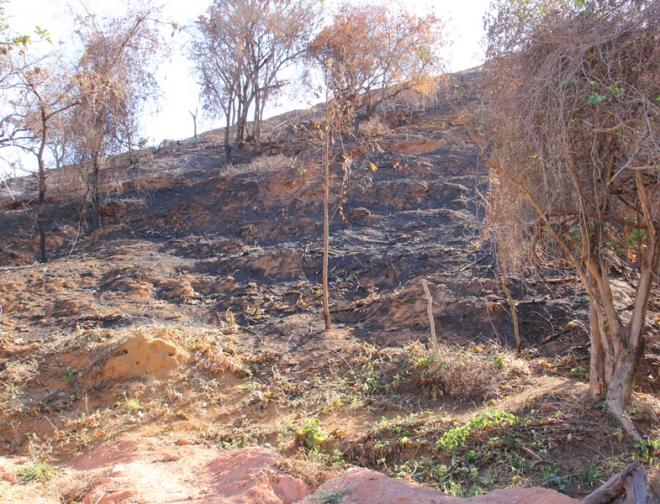 Terreno que foi queimado na semana passada. A polícia ainda investiga o responsável pelo incêndio