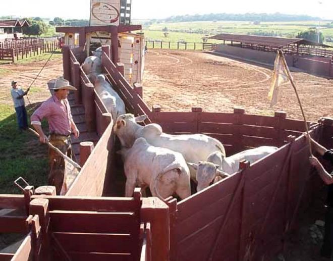 O questionário aplicado pelos recenseadores contempla questões relacionadas à produção, pessoal ocupado, agricultura familiar, uso de agrotóxicos, entre outros temas
