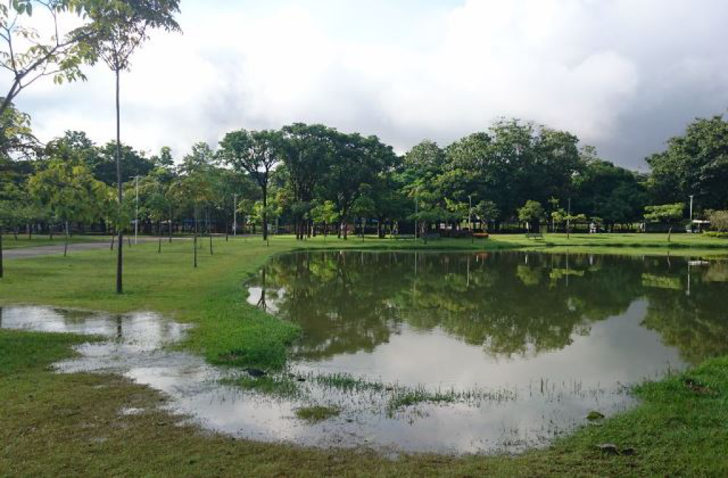 Acumulado da chuva fez transbordar a lagoa do Parque Ipanema, situação que não era vista há alguns anos  