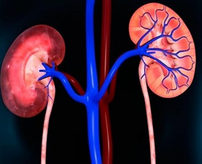 Evento em Ipatinga visa capacitar profissionais para lidarem com a Doença Renal Crônica (DRC)