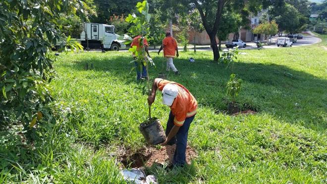 Equipes da Infrater trabalham no plantio de árvores nas margens do ribeirão Ipanema