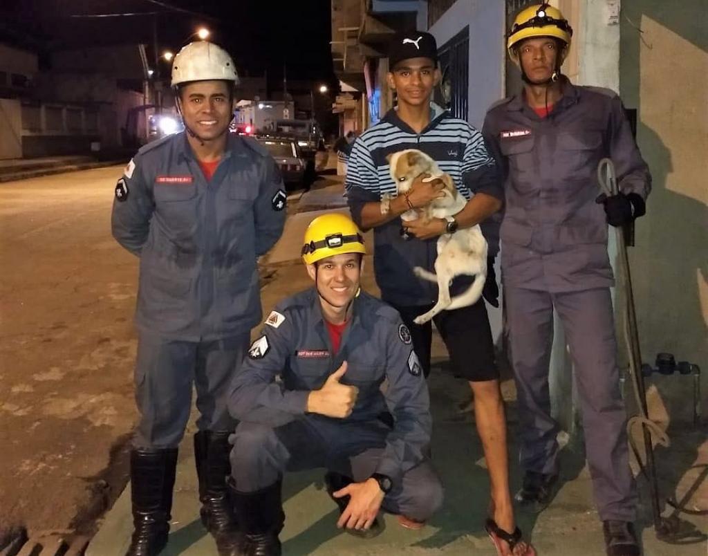Equipe do Corpo de Bombeiros resgatou o animal com vida e o entregou ao dono 
