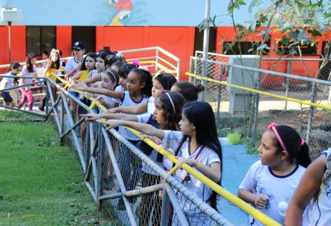 Os alunos tiveram a oportunidade de conhecer as atividades desenvolvidas pelo zoológico