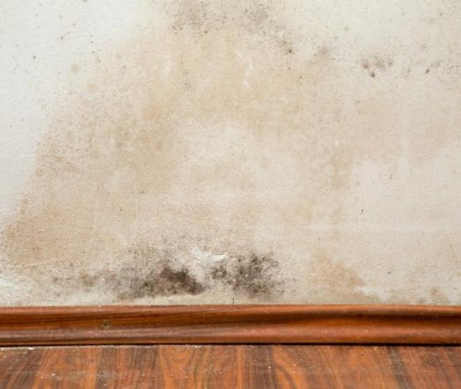  Com o ambiente menos ventilado, o segredo é reforçar a limpeza para combater o mofo, um inimigo da saúde e do bem-estar