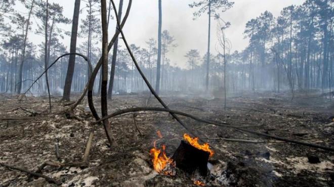 Cenários como os da foto são evitados com as ações adotadas pela Cenibra