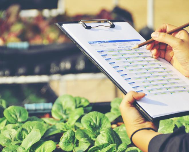 No primeiro semestre de 2018, todos os segmentos do agronegócio apresentaram expansão, com destaque para o primário, cuja expansão foi de 3,05%