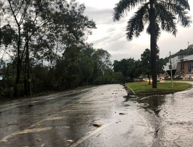 Árvores caíram nas proximidades do shopping em Ipatinga e interditaram a BR-381 nos dois sentidos 