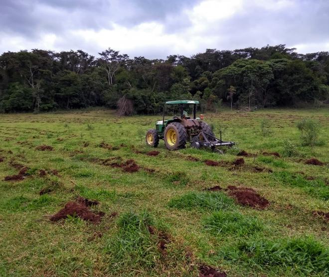 Projeto piloto, em Sabinópolis, propõe técnica para maior absorção de água da chuva em pastagens