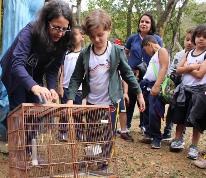 O Cebus recebe, trata, reabilita e encaminha animais para a soltura, sempre orientada e acompanhada pelo órgão estadual