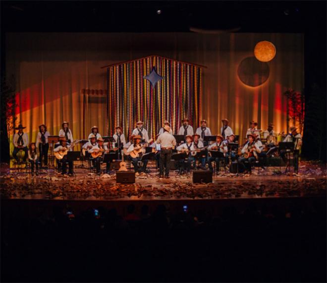Orquestra de Viola Caipira