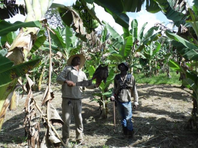 ?Plantio Assistido? oferece cursos de capacitação aos produtores rurais do município