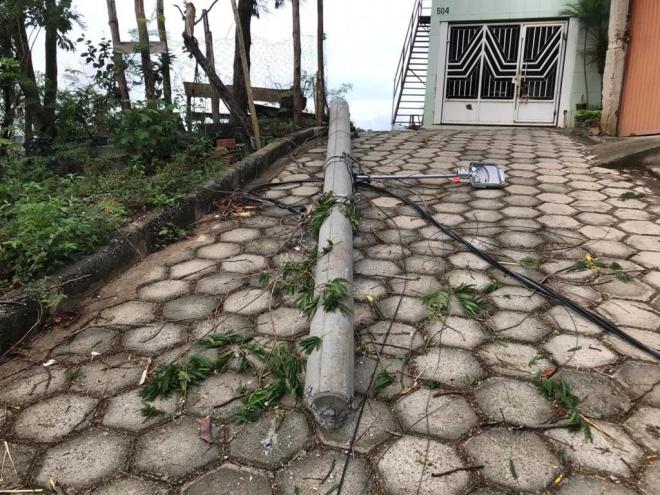  No bairro Caravelas, houve a queda de duas árvores, uma delas caiu num lote vago e outra interditou a pista derrubando também um poste