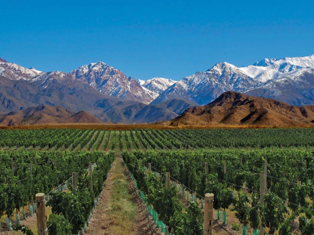 Mendoza, terra do vinho 