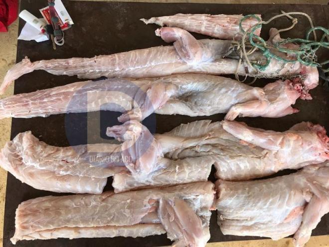 A carne de jacaré foi apreendida e depois descartada em um aterro sanitário