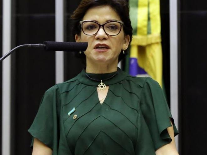 Alê Silva disse ter tomado conhecimento do esquema de laranjas do partido somente após às eleições