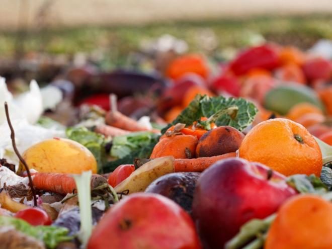 Outros erros comuns: comprar alimentos em excesso e armazená-los inadequadamente