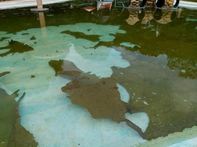 A administração de Timóteo informou que equipes de Endemias estão monitorando as piscinas e possíveis criadouros de mosquitos Aedes aegypti