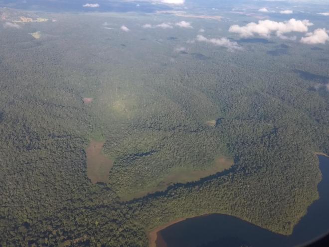 Trecho de Mata Atlântica no Vale do Aço; região tem garantia de preservação na área do Parque Estadual do Rio Doce 