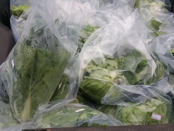 Projeto visa incentivar o consumo diário de produtos saudáveis, além de valorizar o crescimento dos agricultores municipais