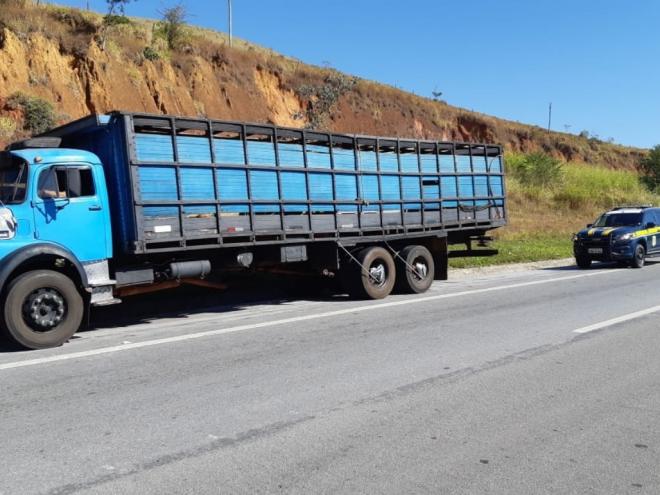 Motorista do caminhão boiadeiro apresentou nervosismo e, nas buscas dos policiais a carga de maconha foi encontrada em fundo falso 