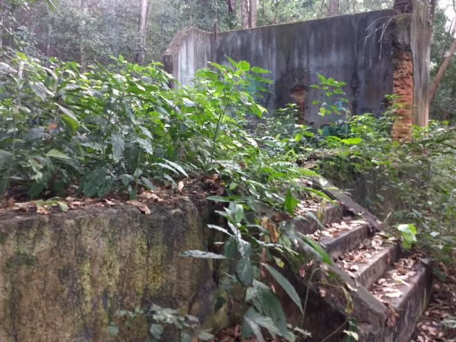 Entre as partes preservadas da construção ficaram escada da plataforma e paredes