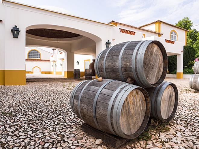 O Alentejo conta com um extenso território cheio de possibilidades para os viajantes. Uma atração imperdível são as grandes propriedades vinícolas, produtoras de alguns dos melhores vinhos do país
