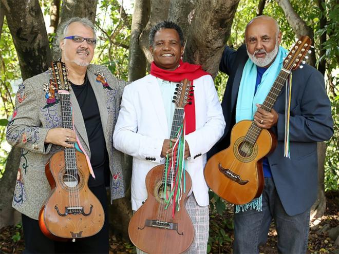 Chico Lobo, Pereira da Viola e Wilson Dias, violeiros da gema