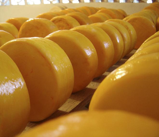 Os produtores investem em novos produtos, para públicos diferenciados 