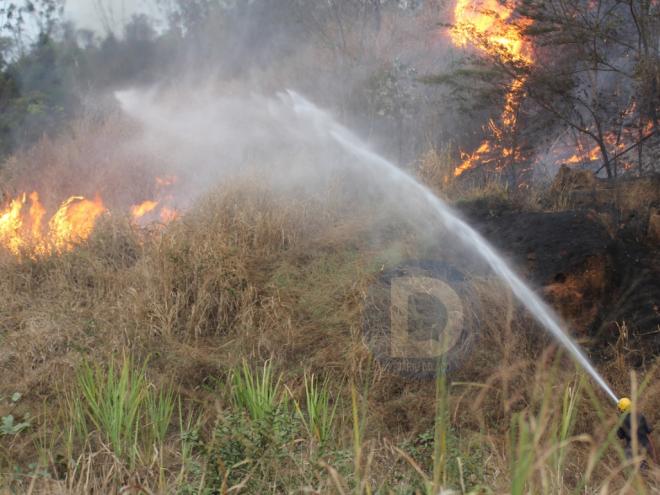 Equipes de brigadistas e do Corpo de Bombeiros atuaram no combate ao incêndio florestal durante boa parte desta terça-feira