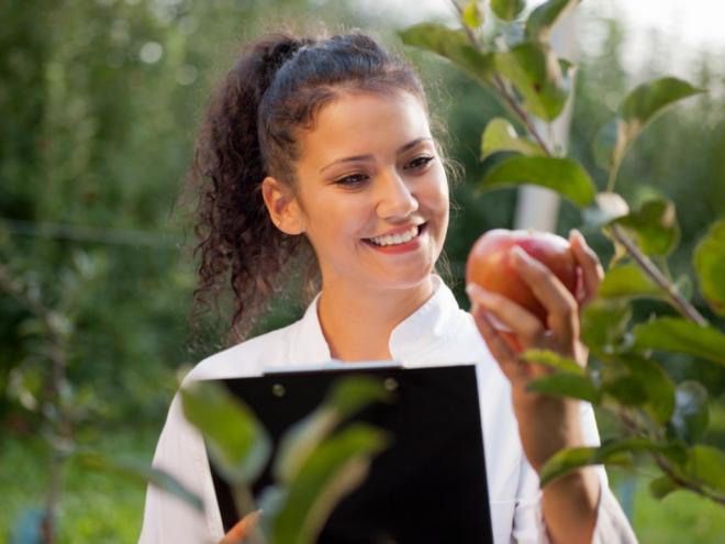Uma reflexão em pleno Dia Mundial da Agronomia, comemorado hoje, 13 de setembro: será que dá para realizar uma agricultura sustentável? 