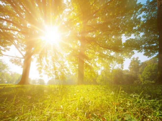 A camada de ozônio tem uma importante atuação: inibir que as radiações ultravioletas (UV), emitidas pelo sol, cheguem à atmosfera terrestre