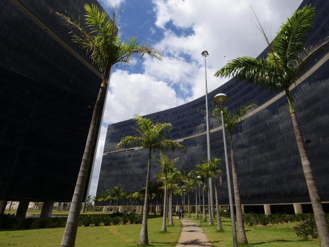 A norma é originária do Projeto de Lei (PL) 133/19, de autoria do deputado João Leite (PSDB)