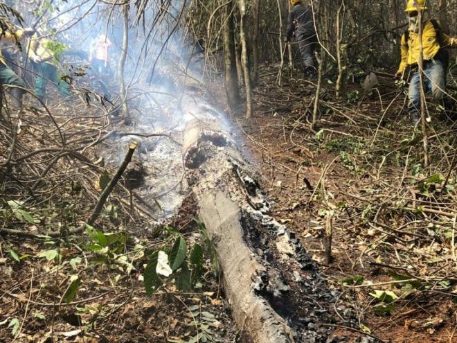 Mesmo após a chuva, trocos de árvores foram encontrados em chamas na área da Biquinha