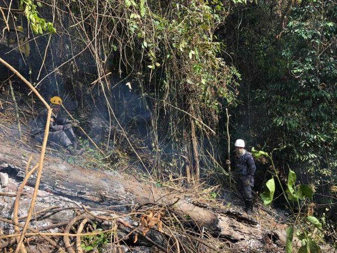 As operações de combate ao fogo no Parque Estadual do Rio Doce ainda continuam no local 